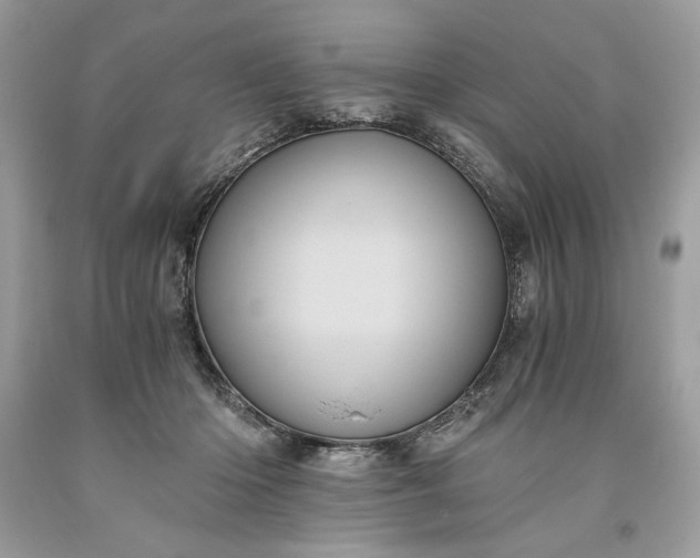 X0000093530414200710261256