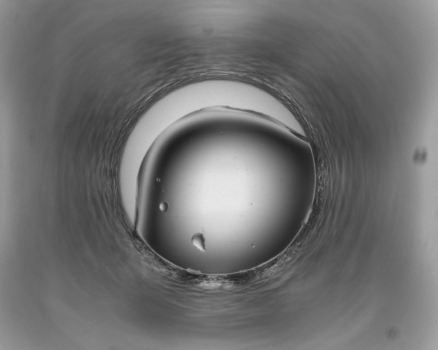 X0000093530415200710261256