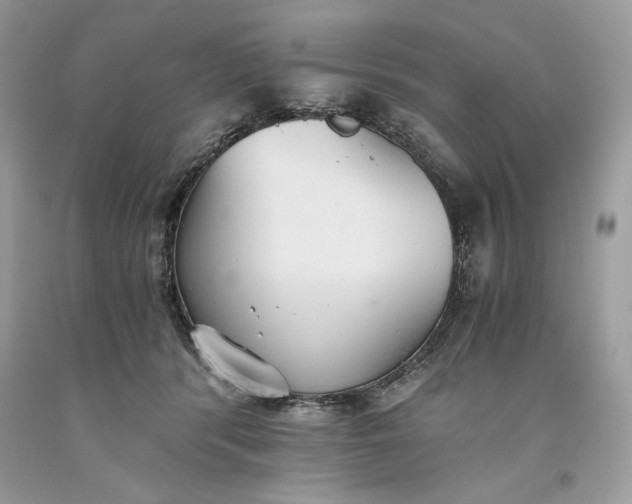 X0000093530416200710261256