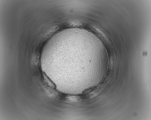 X0000093530417200710261256