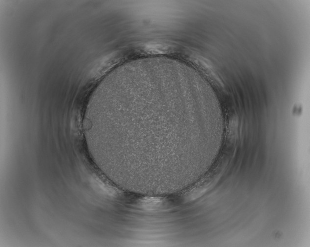 X0000093530418200710261256