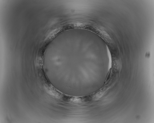 X0000093530419200710261256