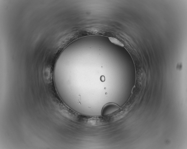 X0000093530420200710261256