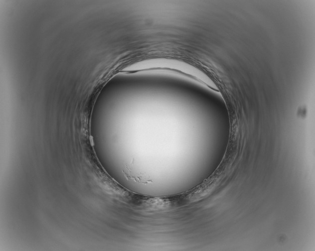 X0000093530421200710261256