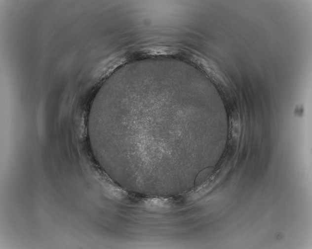 X0000093530422200710261256