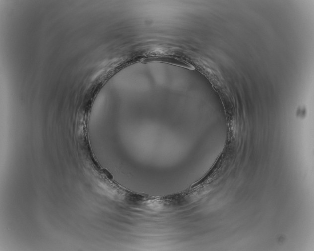 X0000093530423200710261256