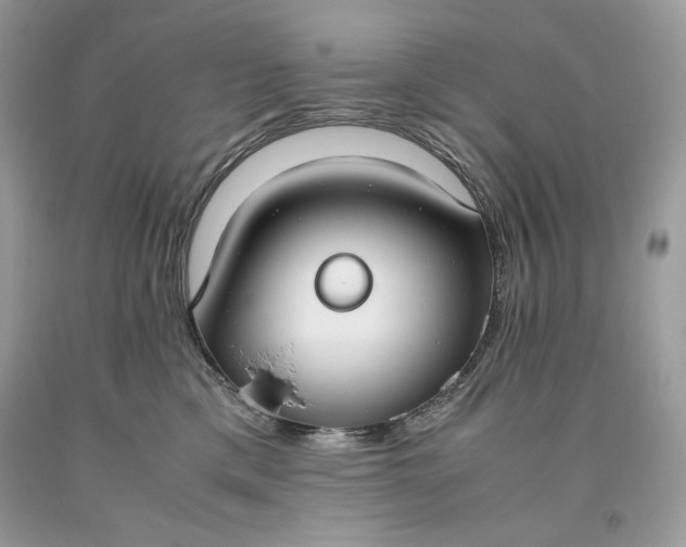 X0000093530425200710261256