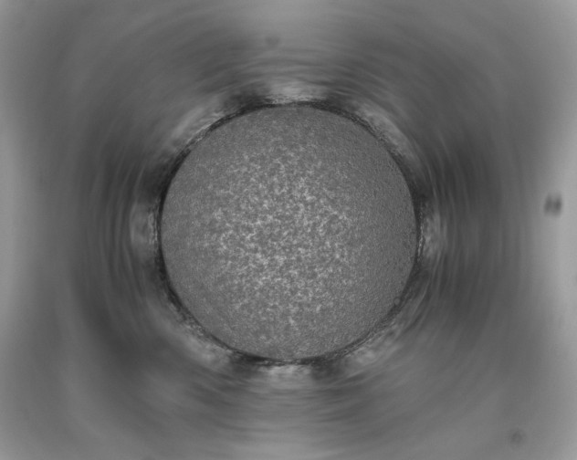 X0000093530426200710261256