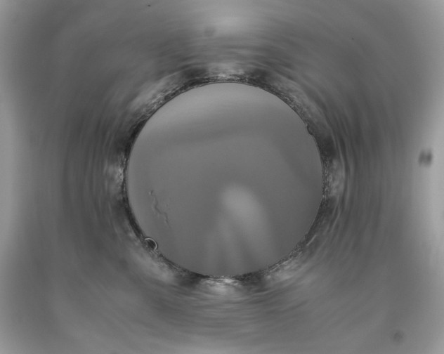 X0000093530427200710261256