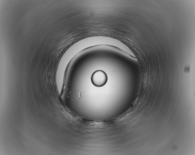 X0000093530428200710261256