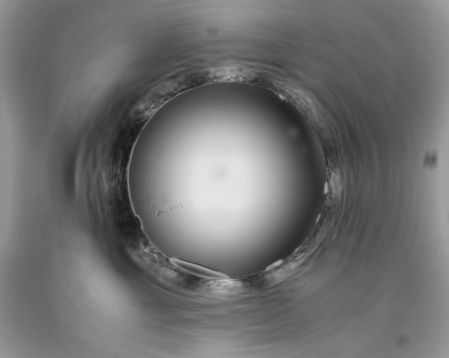 X0000093530429200710261256