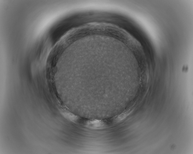 X0000093530431200710261256