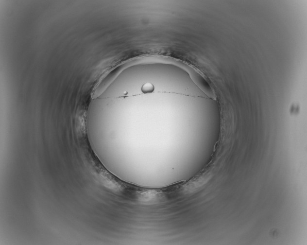 X0000093530432200710261255