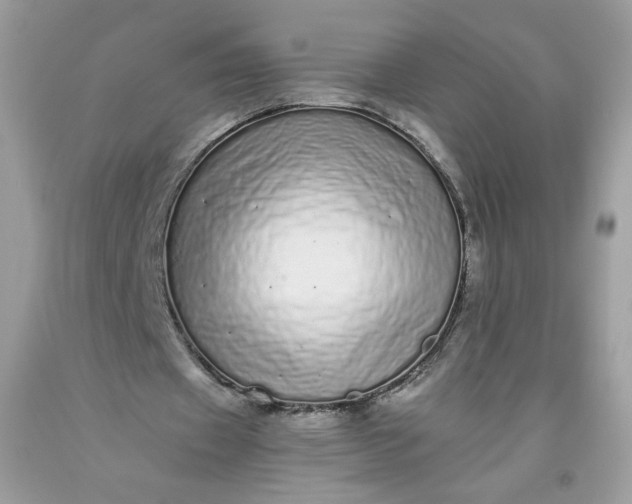 X0000093530433200710261255