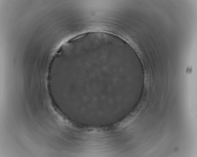 X0000093530434200710261255