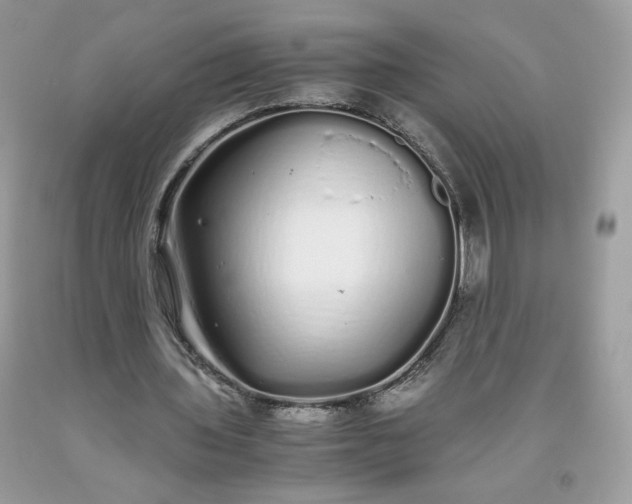 X0000093530435200710261255