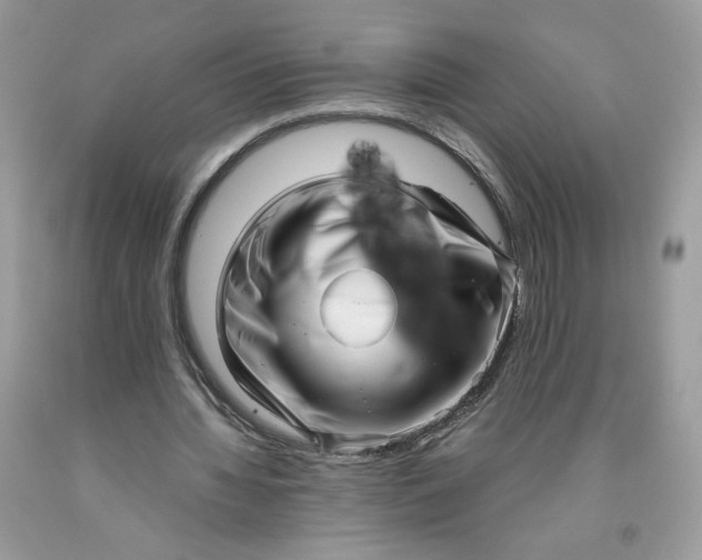 X0000093530436200710261255