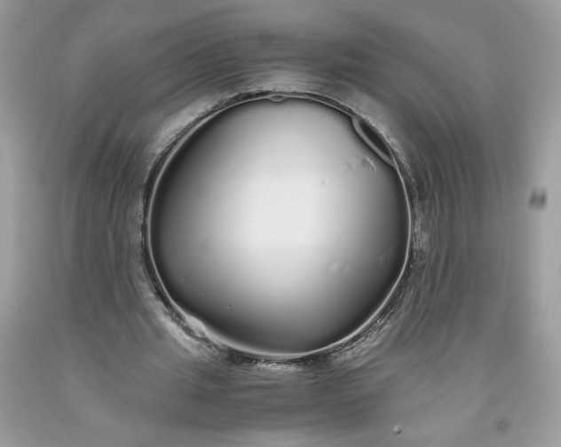 X0000093530437200710261255