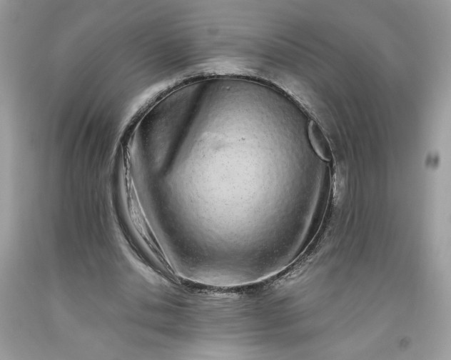 X0000093530438200710261255