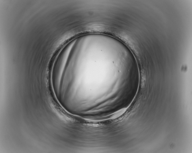 X0000093530439200710261255