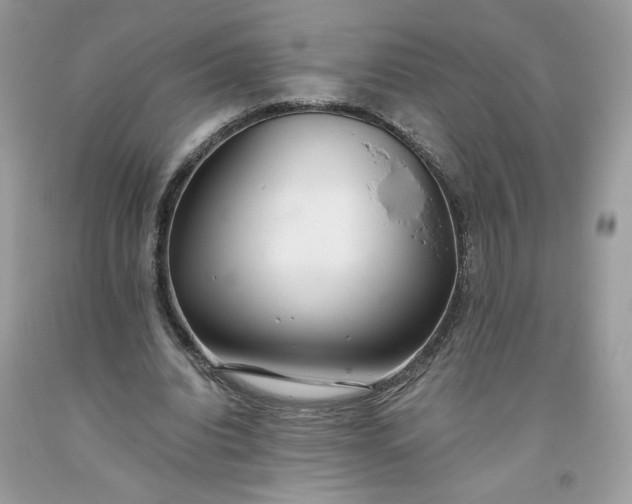 X0000093530440200710261255