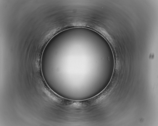 X0000093530441200710261255