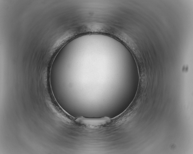 X0000093530442200710261255