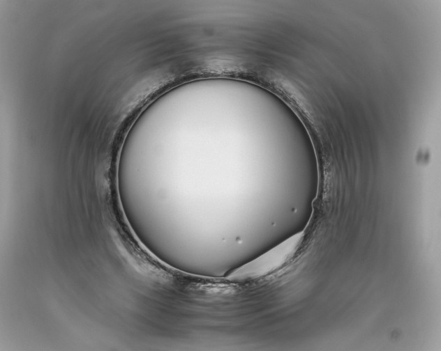 X0000093530443200710261255