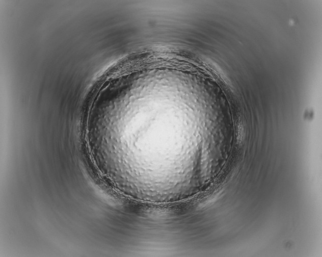 X0000093530444200710261255