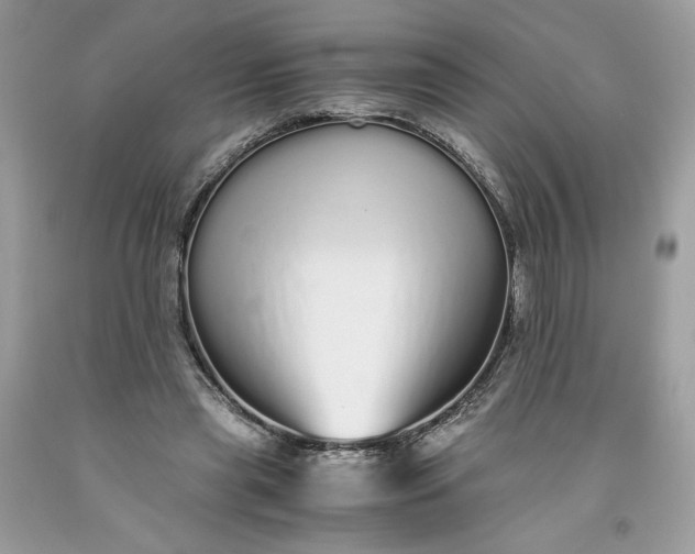 X0000093530445200710261255