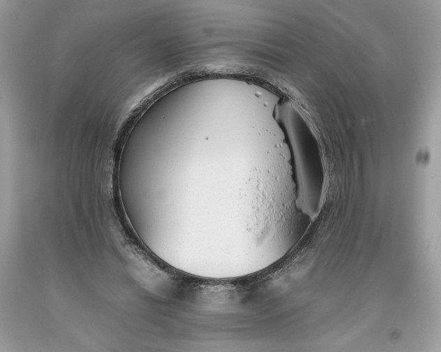 X0000093530446200710261255