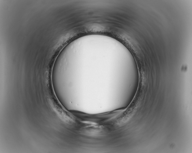 X0000093530447200710261255