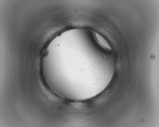 X0000093530448200710261255