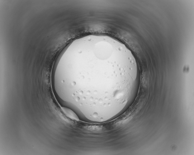 X0000093530449200710261255