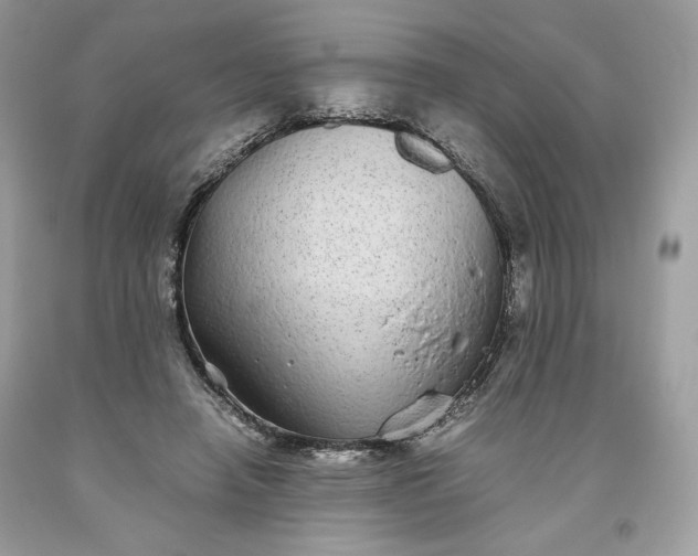 X0000093530450200710261255