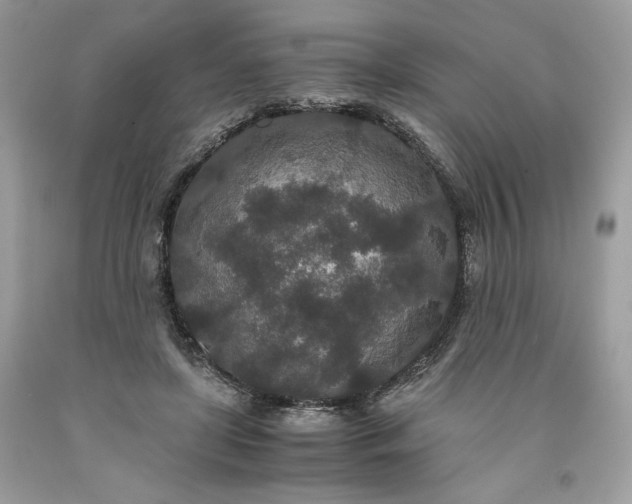 X0000093530451200710261255