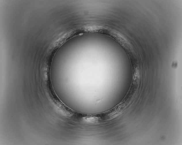 X0000093530452200710261255