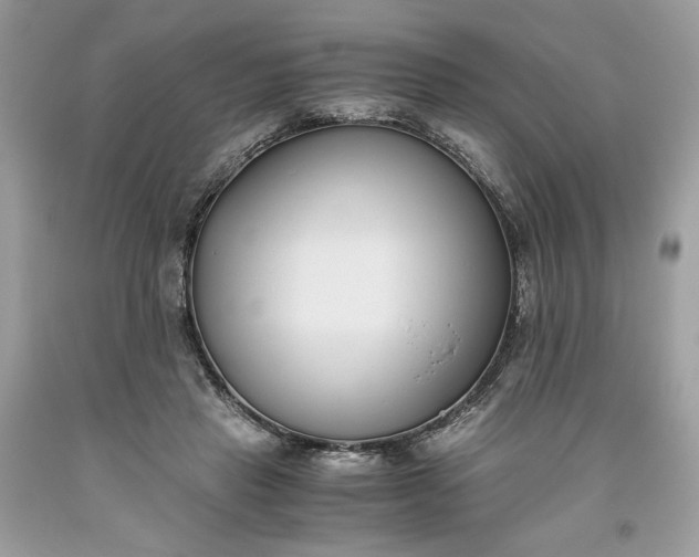 X0000093530453200710261255