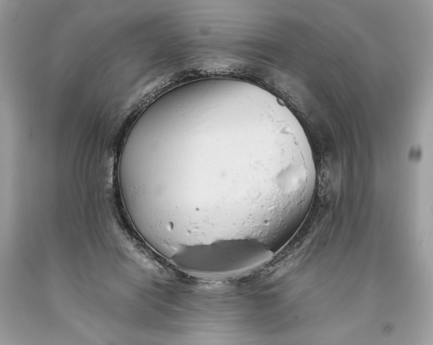 X0000093530454200710261255