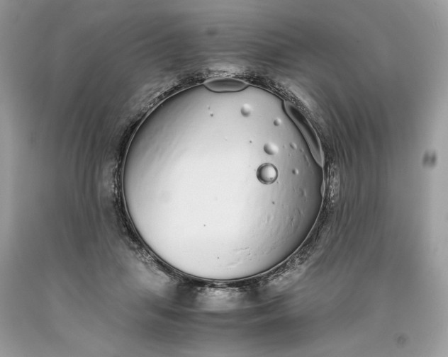 X0000093530455200710261255