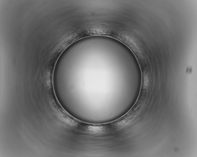 X0000093530457200710261255