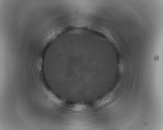 X0000093530458200710261255