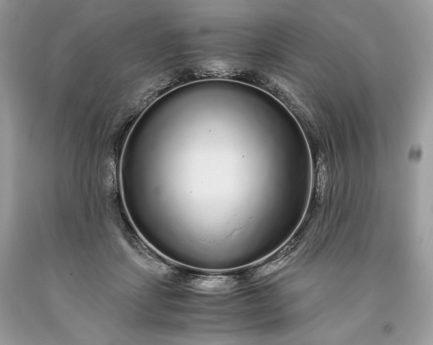 X0000093530459200710261255