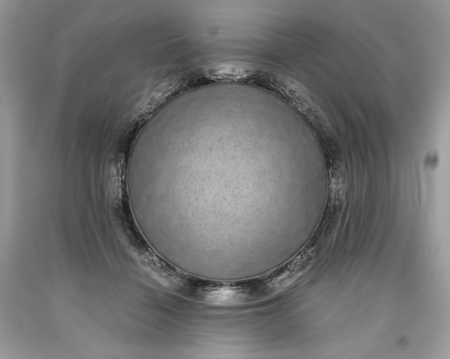 X0000093530460200710261255