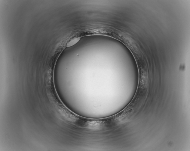 X0000093530461200710261255