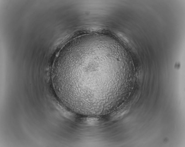 X0000093530462200710261255