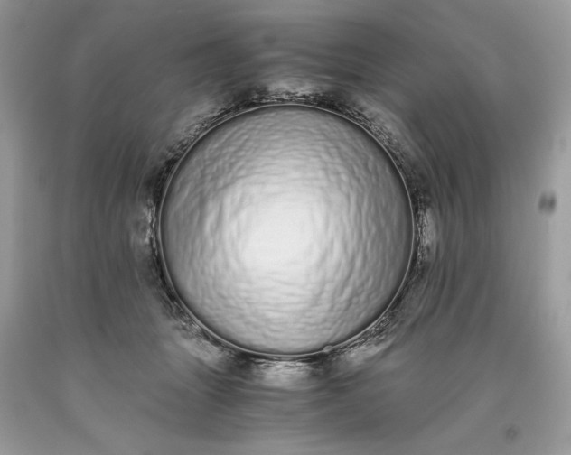 X0000093530463200710261255