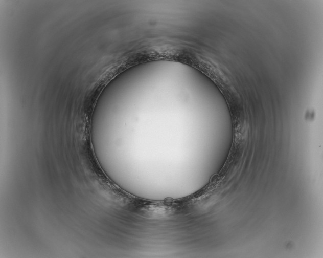 X0000093530464200710261255