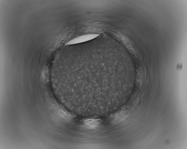 X0000093530465200710261255