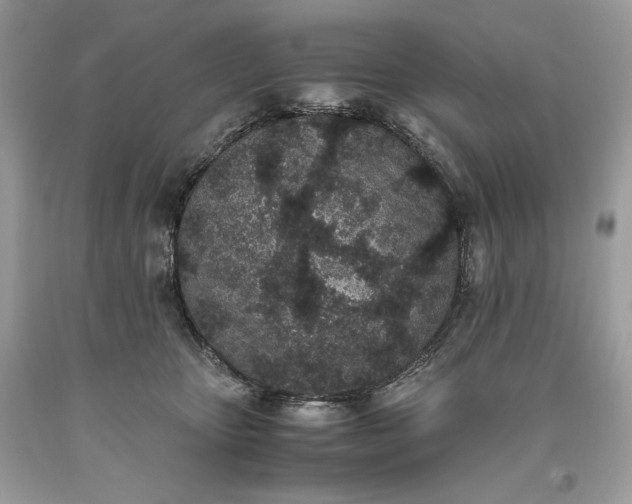 X0000093530467200710261255